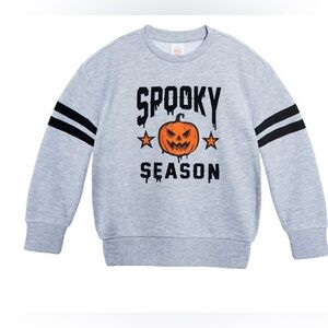 🔴 3/$12 Wonder Nation Husky Boy’s Gray Sweatshirt with Pumpkin! NWT! Size Large.
